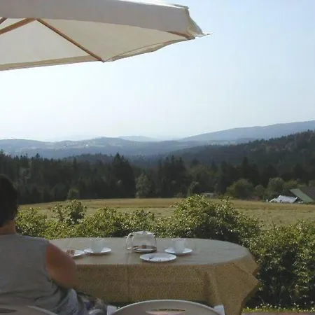 Сasa de vacaciones Haus Pleckenstein By Interhome Neureichenau